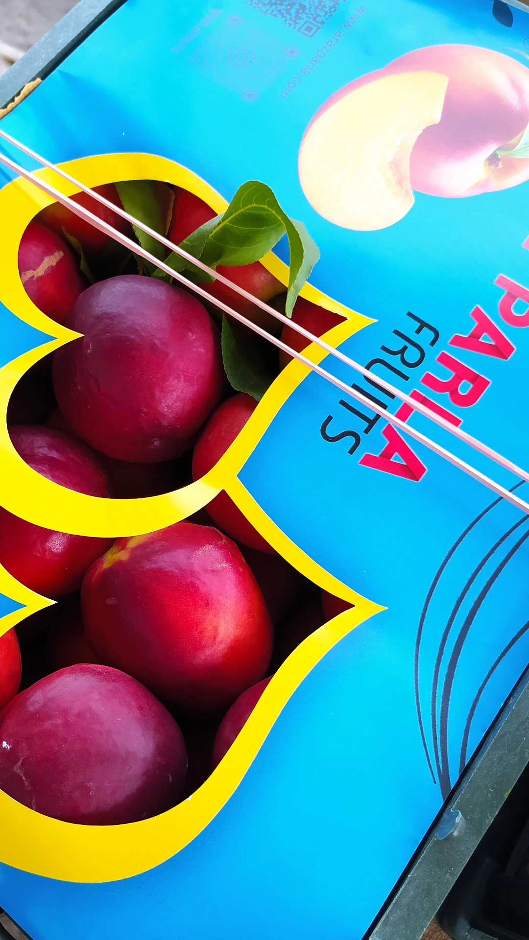 Parla%20Fruits%20|%20پارلا%20میوه